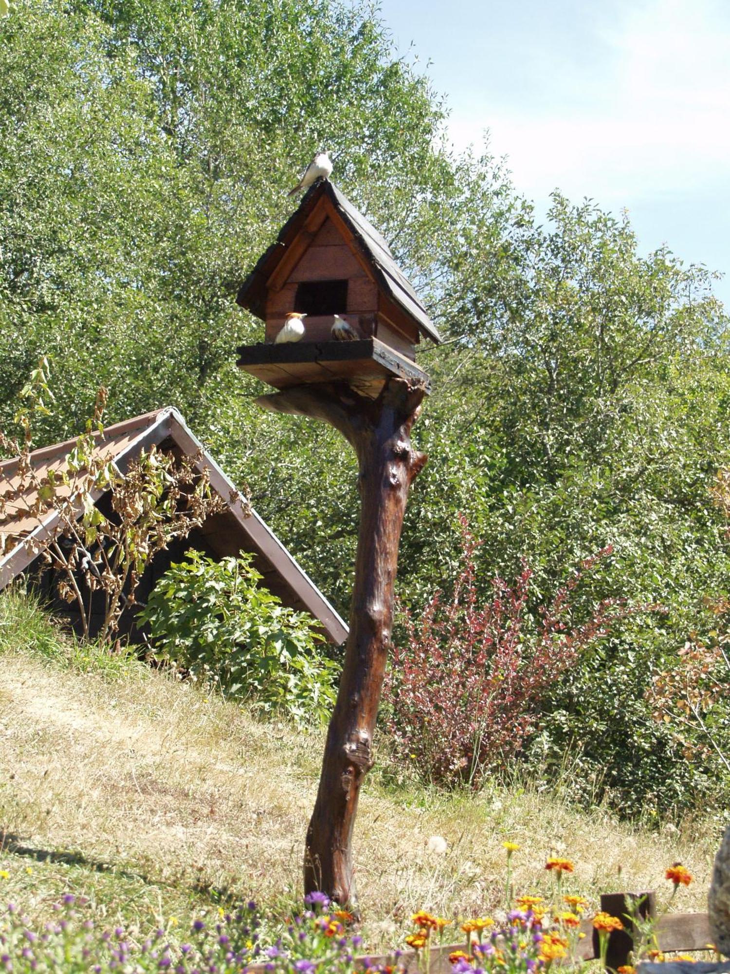 Ethnic Grand -tara Place Mojkovac